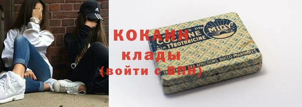 ПСИЛОЦИБИНОВЫЕ ГРИБЫ Корсаков
