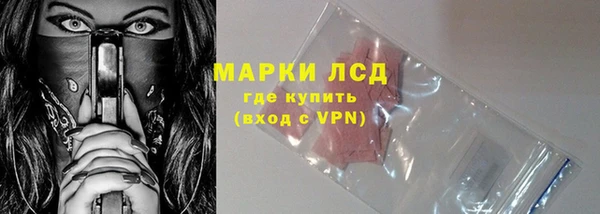 PSILOCYBIN Костерёво