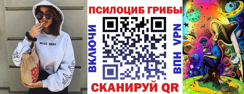 где можно купить наркотик  Калачинск  Псилоцибиновые грибы Psilocybine cubensis 